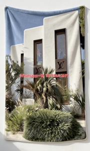 LV Malibu Store Blanket Modern LV Boutique Blanket 124